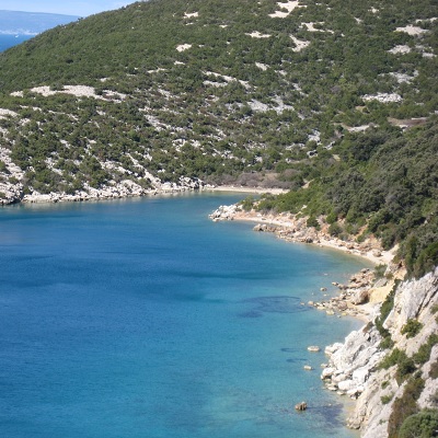 Thumbnail Image 1